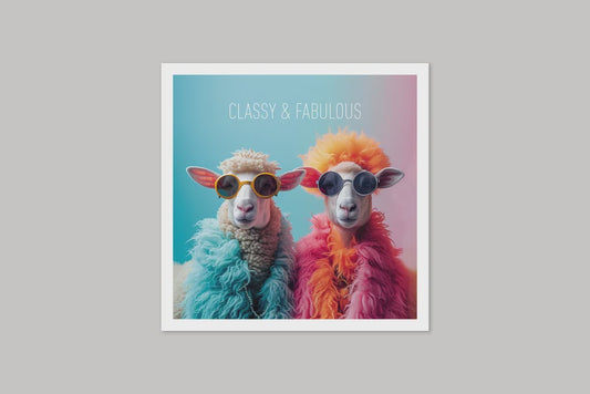 Image Gallery Coola Coola Card - Ewes