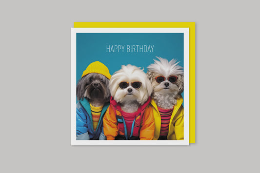 Image Gallery Coola Coola Card - Shaggy Dogs Happy Birthday