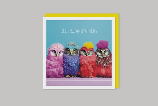Image Gallery Coola Coola Card - Owls Older...and Wiser