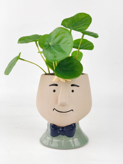 pothead urban Urban Planter Boy Sage – Marigolds