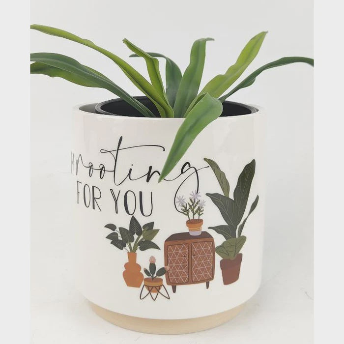 Urban Planter I'm rooting for you