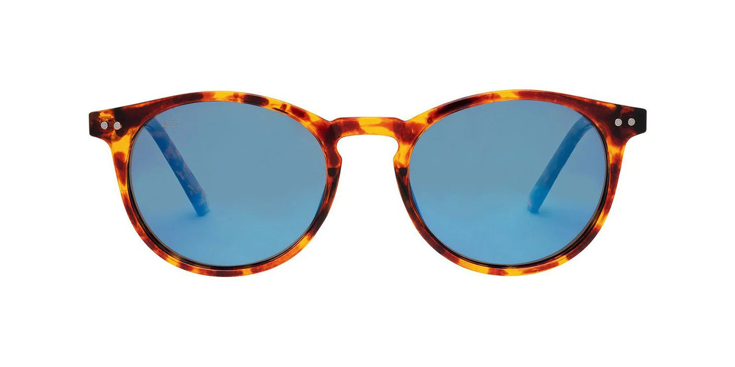 Prive Pevaux Sunglasses - The Maestro X Havana Blue
