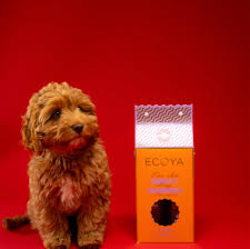 Ecoya Dog Grooming Set Holiday Collection - Neroli & Chamomile