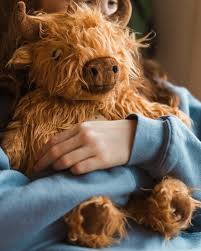Moana Road Hot Water Bottle & Cover - Hamish the Highland Cow