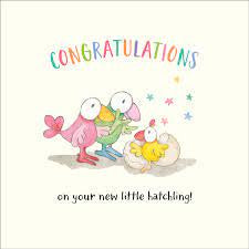 Twigseeds Card Congratulations Hatchling