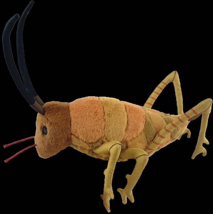 Moana Road Soft Toy Wiremu the Weta - Small