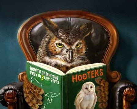 Image Vault Black Box Frame Lucia Heffernan - Owl Porn