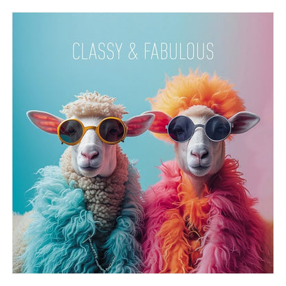 Image Gallery Coola Coola Card - Ewes
