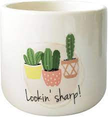 Urban Looking Sharp Planter White