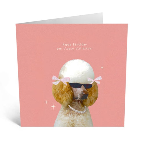 Little Global Cards  - Happy Birthday you Classy Old Bitch