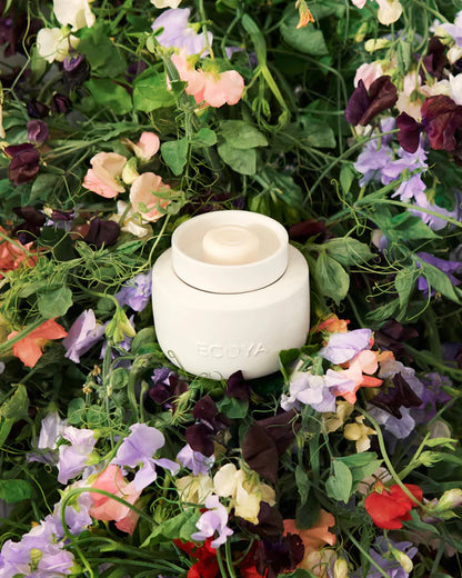 Ecoya Soy Wax Melts
