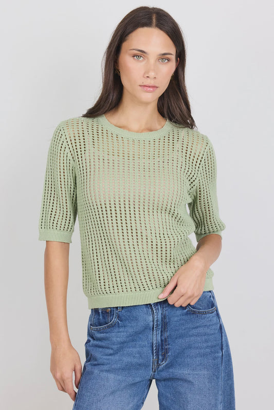 Among The Brave Freckle Sage Pointelle Short Sleeve Knit Top - Sage