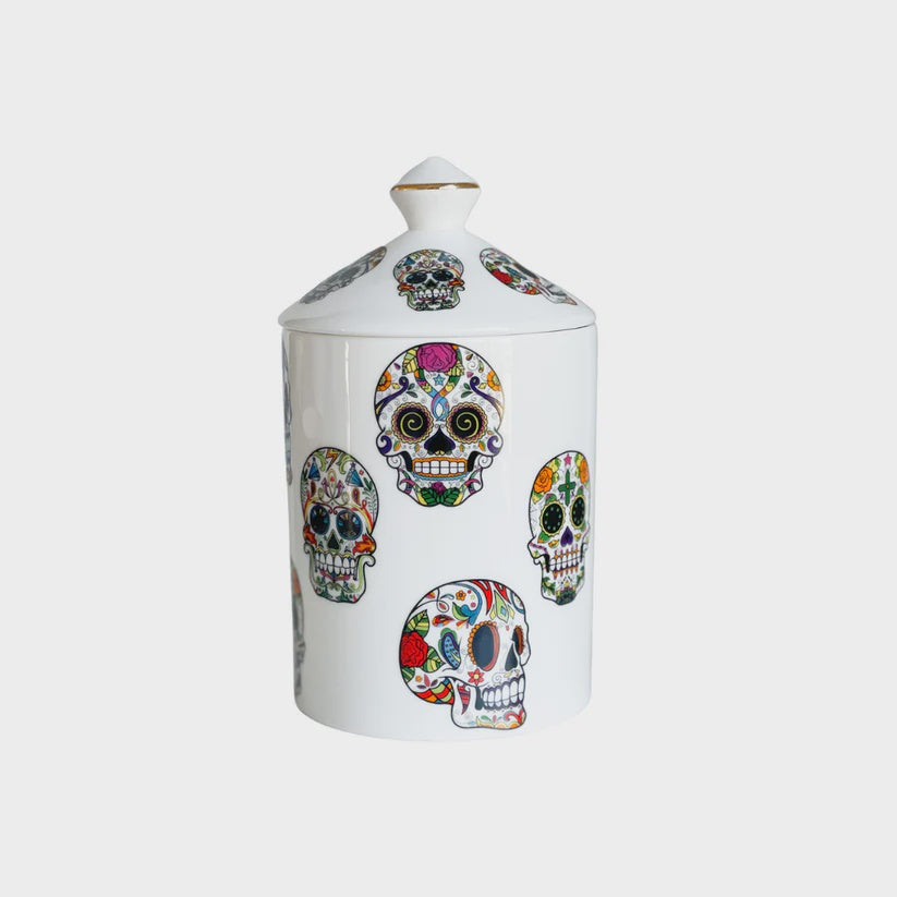 Amanda Alexander Collections Candle Skullicous