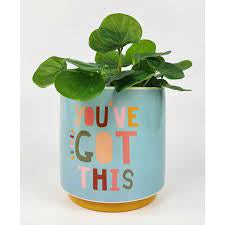 Urban Planter Quote You got This Blue