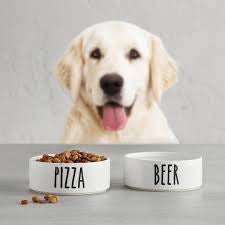 Artisanal Ceramic Pet Bowl - Pizza