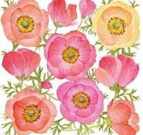 Image Gallery Napkin - Poppy Paradise