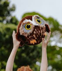 Moana Road Inflatable Large Ball - Ruru