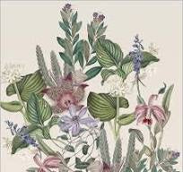 Image Gallery Napkin - Antigua