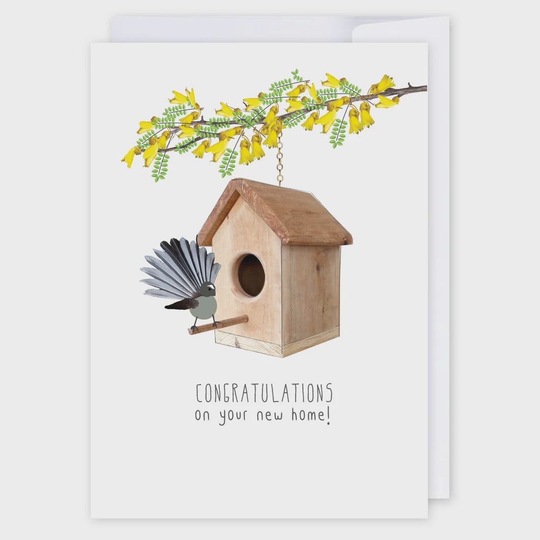 icandy Card - New Home Fantail