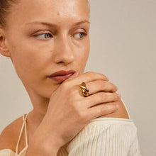 Load image into Gallery viewer, Pilgrim Belief Ring Gold Plated
