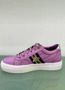 Gelato Zonk Sneaker Smokey Grape Bee